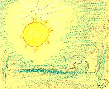 Olivia's Sun at Midnight
